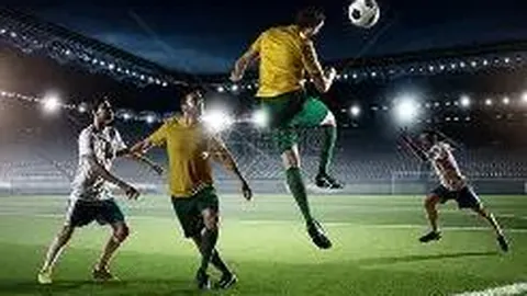 金宝博204bet体育 资讯 141947 q3a