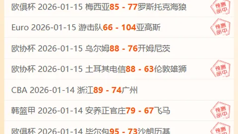 卢卡库进球助切尔西1-1战平布莱顿，维尔贝克替补救主扳平比分