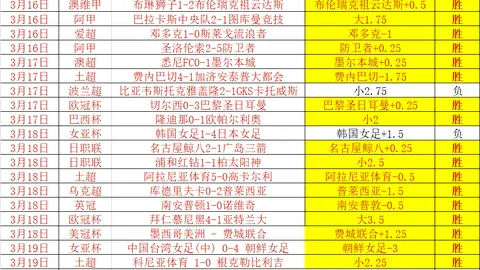 韦斯卡前瞻：专家期号分析大乐透推荐